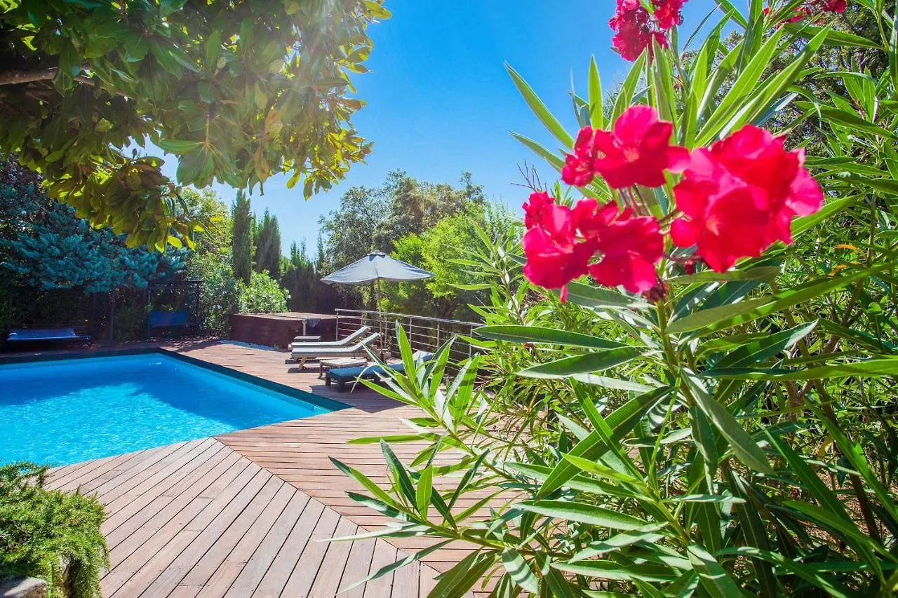 Villa Justine Vi4239 By Riviera Holiday Homes Mandelieu-la-Napoule France